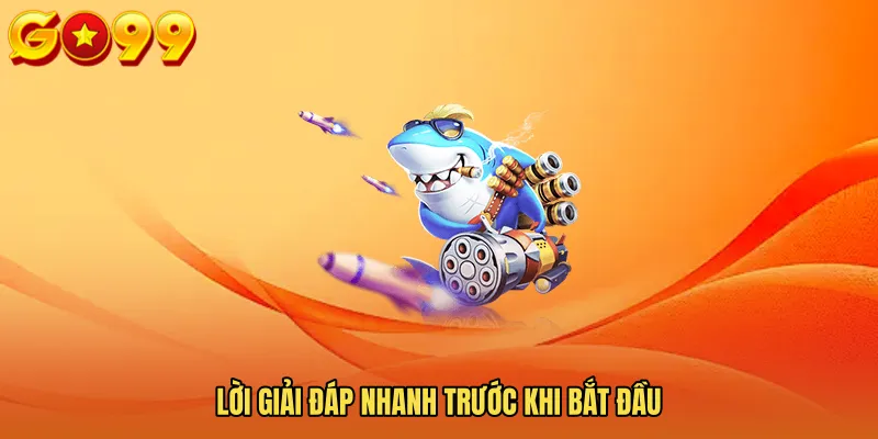 Lời giải đáp nhanh trước khi bắt đầu